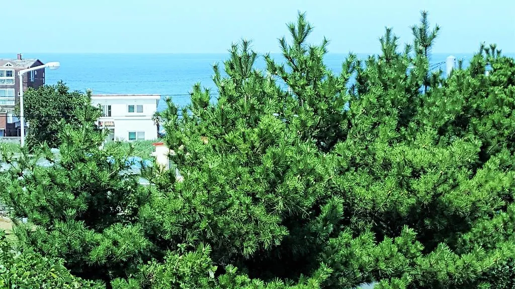 Cardinal House Villa Jeju Holiday home
